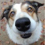 Foto del profilo di Luca86